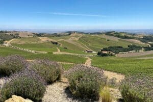 Paso Robles 3-Day Itinerary: An Idyllic Escape for Wine Lovers