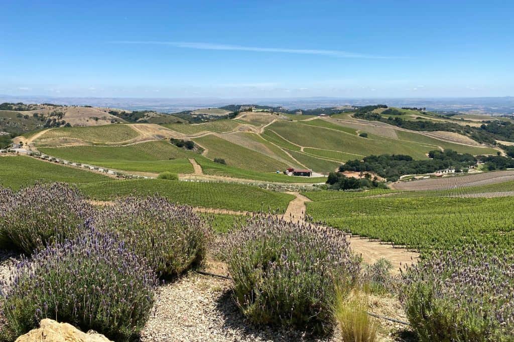 Paso Robles itinerary vineyards