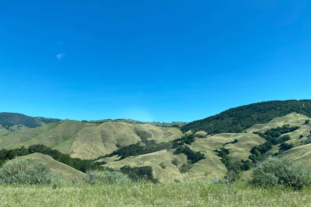 Rolling hills with vineyards in Paso Robles